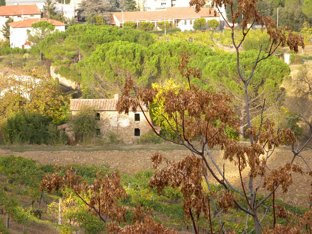 Our demonstration image, a simple house in the midst of some greenery